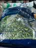 浦之灵冷冻田园荠菜馅1kg 饺子馄饨包子馅 餐饮冷冻蔬菜 实拍图