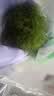 【24小时菜】茴香300g 实拍图