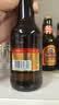 青岛啤酒（TsingTao）小棕金 拉环瓶盖设计 258ml*12瓶 整箱装 中秋礼品 实拍图