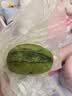 鲜京采抹茶生巧乳酪大饼4寸250g 浓郁抹茶零食蛋糕下午茶 实拍图