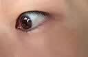 坂枝野寻老花眼专用眼i药i水中老年人视力模糊眼睛模糊看不清楚蓝莓叶黄素 一盒【蓝莓叶黄素滴眼液】 消炎止痒杀菌干涩视疲劳眼角痒 实拍图