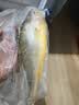 三都港 冷冻黄花鱼700g/2条装 大黄鱼深海鱼 生鲜鱼类 海鲜水产中秋礼品 实拍图