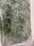 新鲜羽衣甘蓝生鲜蔬菜嫩叶云南甘兰芥蓝西餐沙拉榨汁减脂直播间 羽衣甘蓝闺蜜2斤净重 实拍图