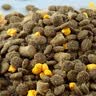 醇粹黑标狗粮无谷冻干犬粮大型犬成犬幼犬通用鸡肉鱼肉狗粮15kg囤货装 实拍图