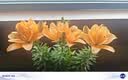 营养土养花种菜土壤有机兰花多肉植物盆栽种植椰砖土通用型 有机营养土20斤【园艺师专研配方 实拍图