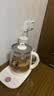 苏泊尔（SUPOR）养生壶 1.5L煮茶器花茶壶 恒温水壶烧水壶电热水壶调奶器 保温煮茶壶玻璃电茶壶 SW-15YJ33B 实拍图
