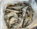三只海豚 国产青岛大虾 特大号白虾 20/30规格 净重3斤盒装 活虾速冻虾类 实拍图