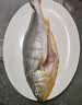海名威 冷冻黄花鱼700g/2条 宁德大黄鱼 海鱼 生鲜鱼类 海鲜水产 国庆 实拍图
