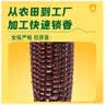 十月稻田 黑糯玉米 8根 3.52斤 真空包装 东北甜粘玉米棒 低脂早餐 实拍图