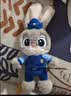 迪士尼（Disney）疯狂动物城朱迪斜挎包兔子玩偶包毛绒玩具儿童生日礼物送女孩闺蜜 实拍图