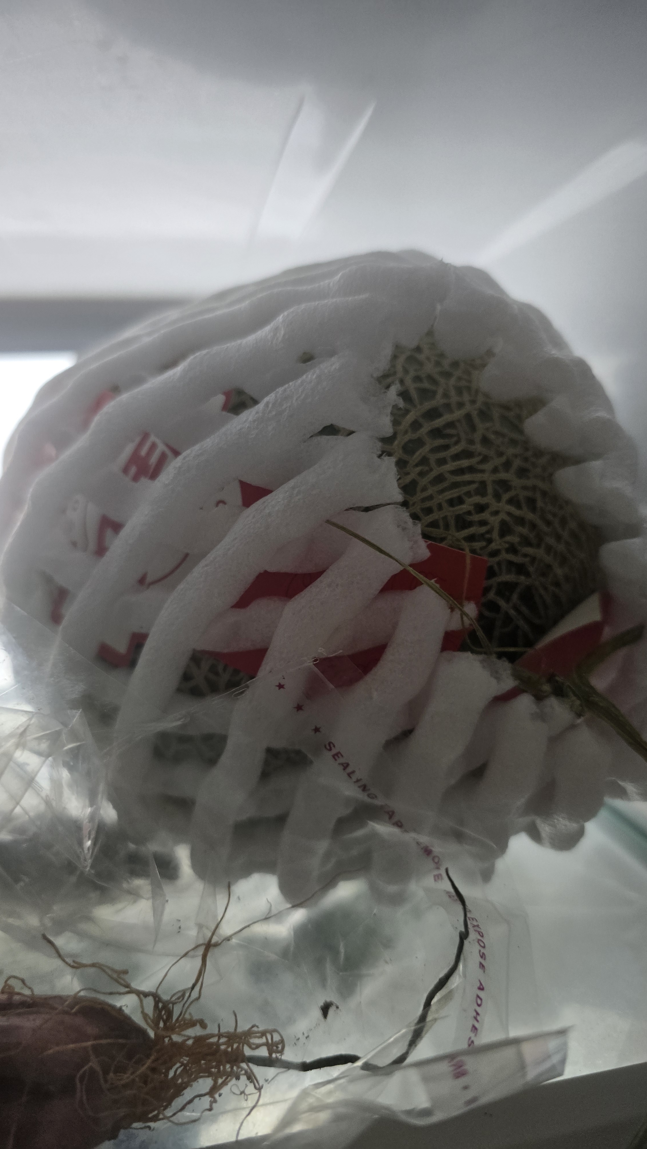 佳农 网纹蜜瓜【牛三】2粒装净重5-7斤单果2斤起 水果礼盒源头直发 实拍图