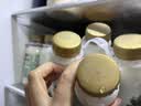 伊利金典鲜牛奶 4.0g鲜活乳蛋白235ml*4瓶定制装 儿童早餐 实拍图