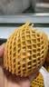 佳沛（zespri）新西兰金奇异果12粒特大果124-146g猕猴桃水果礼盒 实拍图