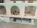 皇家猫粮 成猫猫粮 营养均衡 F32 通用粮 1-7岁 2KG 实拍图