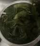 赶海弟 盐渍海带苗250g 火锅食材配菜 新鲜头茬嫩苗海带芽丝 南北干货 实拍图