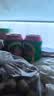 青岛啤酒（TsingTao）经典330ml*24罐 整箱装 批发 新老包装随机发 国庆出游 实拍图