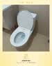 箭牌（ARROW）T50抽水马桶虹吸坐便器防臭座便双漩AEB12634M 免费送装一体 实拍图