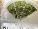 盛源来峰仔麦青红豆糕350g*2袋 20块 青草米糕 速冻早餐半成品面点点心 实拍图