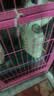 沃趣 猫砂2.0升级版低尘猫砂膨润土清香型猫砂强效除臭20斤易储存 实拍图