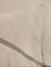艾薇决明子枕头颈椎枕枕芯整头学生宿舍酒店睡眠枕头一只装  45*70cm 实拍图