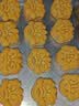 长寿花金胚玉米油 1L 非转基因压榨一级食用油 家用烘焙搭档 实拍图
