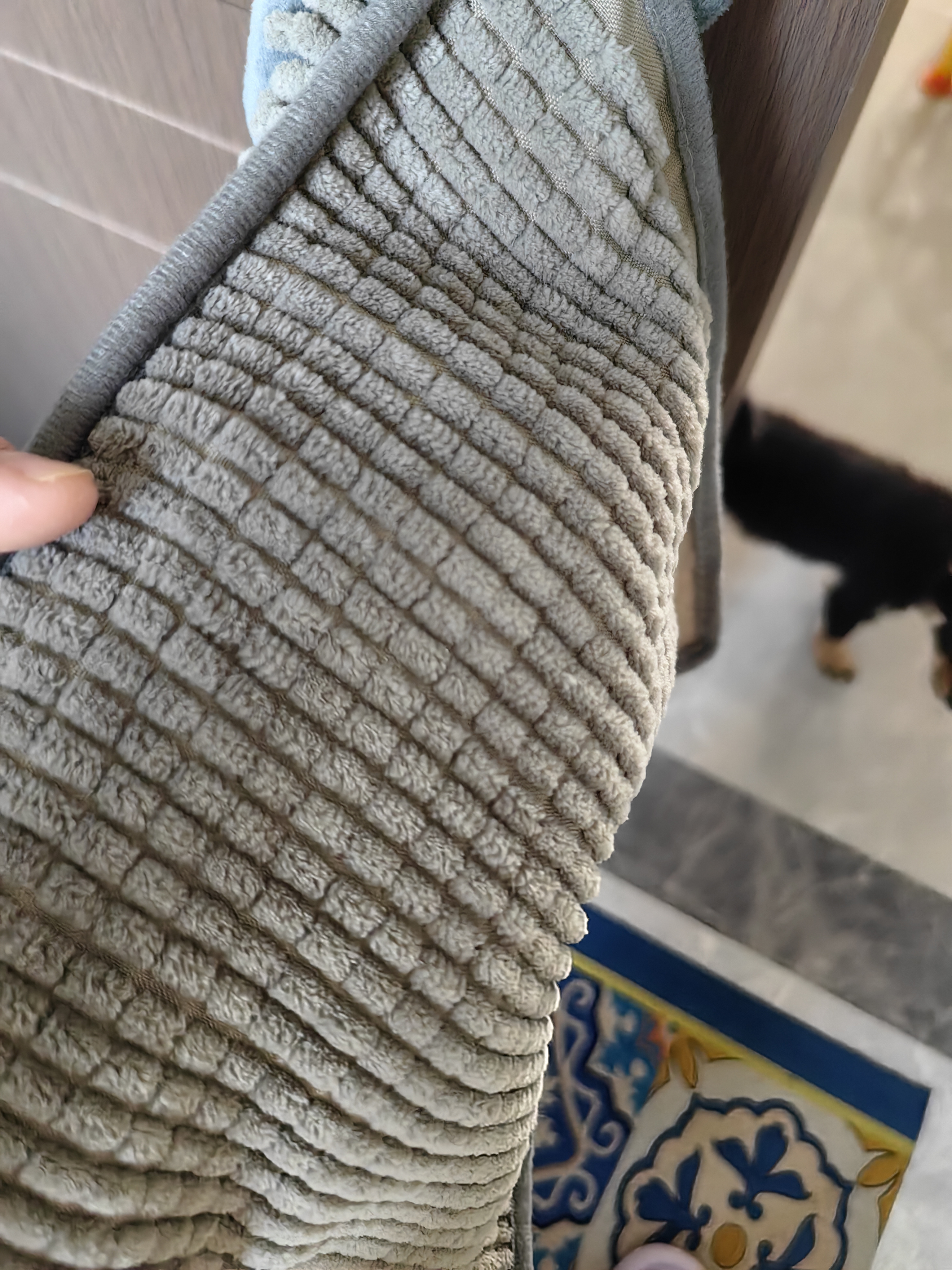 洁丽雅（Grace）雪尼尔擦手巾26*26cm*2条马上有钱加厚吸水速干挂式吸水巾 实拍图