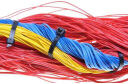 鸿雁电线BV1BV2.5BV4国标平方铜芯线家用铜线纯铜电源单芯电缆线100米 BV1红色 实拍图