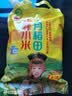 十月稻田 赤峰小米 1kg 内蒙古敖汉旗 黄小米杂粮 小米黄小米 实拍图