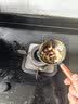 热油小锅泼油锅加厚不锈钢木柄防烫带刻度双倒流口不挂油无涂层 【木柄】爆款300ml 实拍图