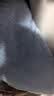 恒源祥毛巾被纯棉夏季午睡薄款老式毯子成人空调线毯全棉提花毛巾毯夏被 实拍图