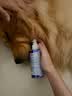 USPET英国宠物猫咪狗狗免刷牙去结石除口臭益生菌可食用洁齿漱口水 实拍图