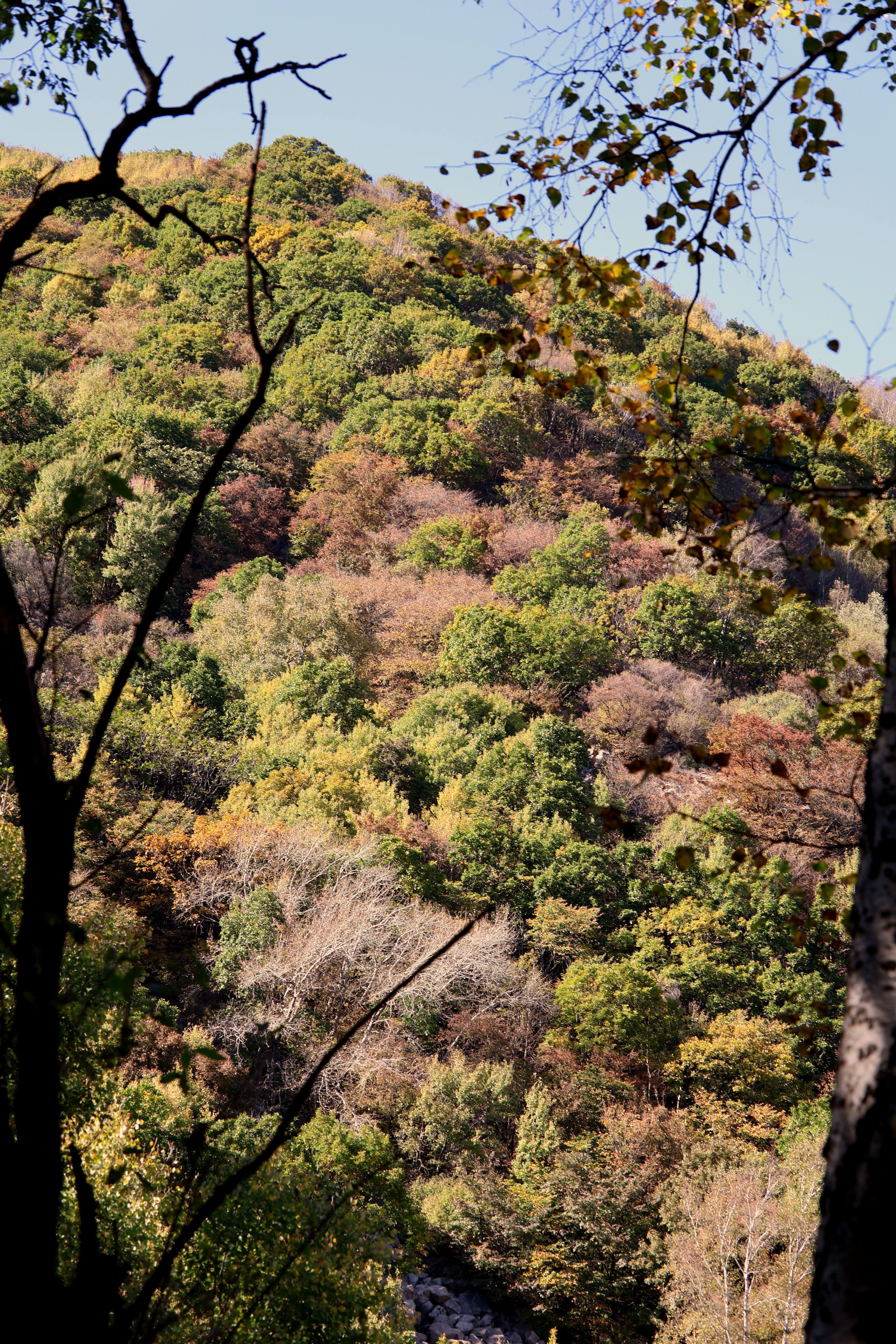 腾龙（Tamron）B061R 18-300mm F/3.5-6.3 Di III-A VC VXD防抖远摄大变焦微单镜头旅游 佳能RF口 实拍图
