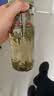 希乐（cille）塑料水杯大容量夏季男女学生运动便携tritan茶水分离杯子860ml 实拍图