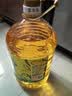 金龙鱼 食用油 非转基因 物理压榨玉米油6.18L（蕴含植物甾醇） 实拍图