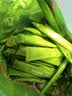 京东京造特浓三合一咖啡奶茶牛奶即溶无植脂末咖啡粉1500g袋装速溶冲饮 实拍图