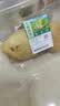 应季新土豆约500g 实拍图