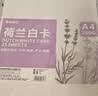 美邦祈富A4荷兰白卡纸200g马克笔专用纸手抄报画纸马克纸手绘纸学生手工折纸剪纸加厚硬卡25张/袋 实拍图