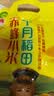 十月稻田 赤峰小米 1kg 内蒙古敖汉旗 黄小米杂粮 小米黄小米 实拍图