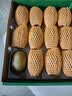佳沛（zespri）新西兰金奇异果12粒特大果124-146g猕猴桃水果礼盒 实拍图