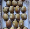 佳沛（zespri）金奇异果25-27粒原箱特大果124-146g猕猴桃水果礼盒 实拍图