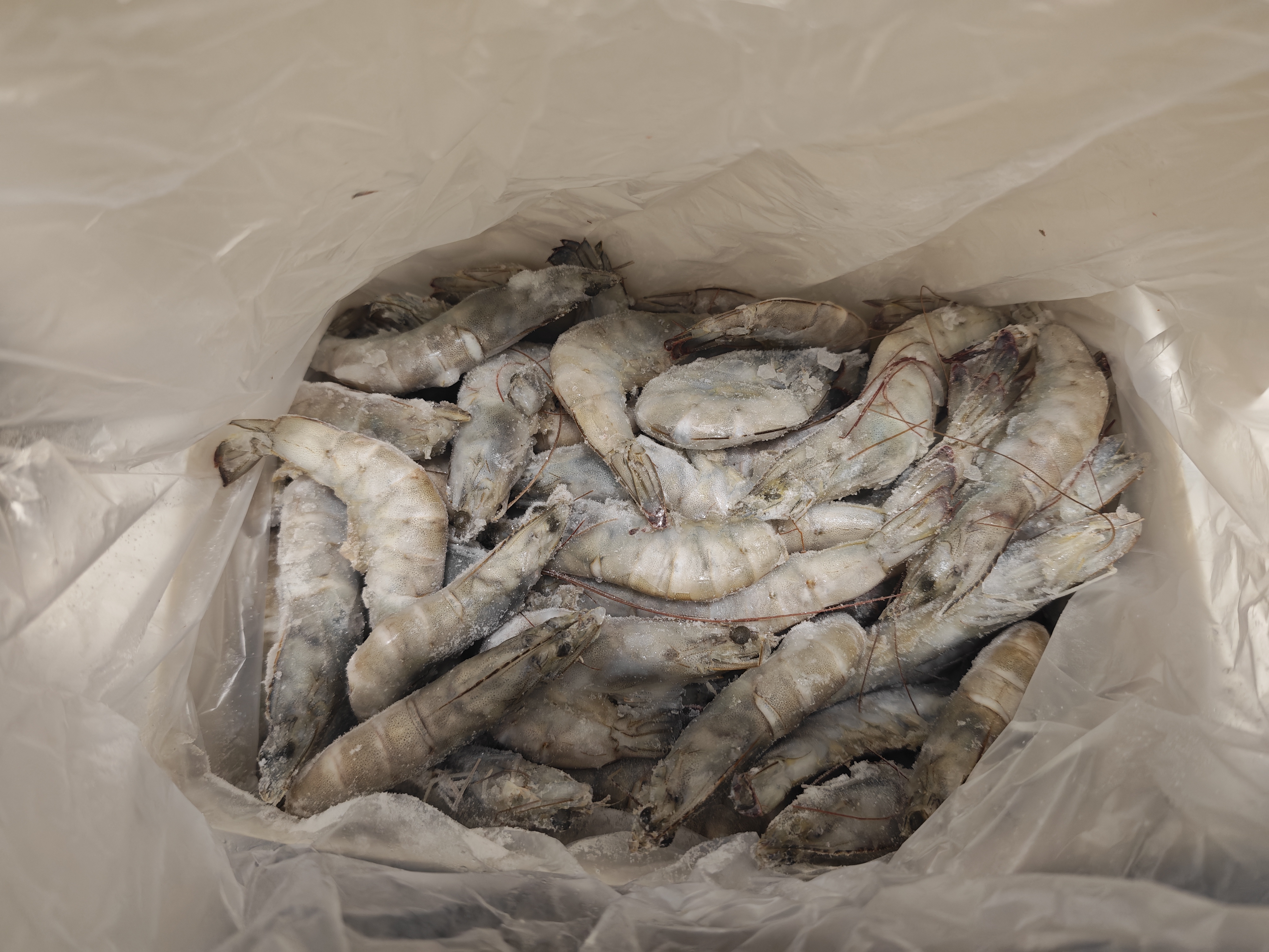 东上御品 国产盐冻大虾 白虾40/50规格 净重3斤 生鲜虾类-源头直发 实拍图