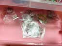 丹米琦咕卡贴纸全套装儿童女孩diy手工创意礼盒咕卡盘贴纸女孩生日礼物 实拍图