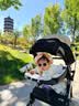 Kocotreekk树婴儿眼镜防晒宝宝墨镜男宝幼儿太阳镜偏光女宝潮杏子灰圆形 实拍图