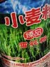 天山 新疆面粉臻品雪花粉 家用包子馒头拉条子中筋通用小麦粉 50斤 实拍图