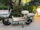 驰小虎电动自行车 如意虎新国标电动车电动自行车48V20Ah电池长续航电瓶车代步车电车家用成人电车绿 实拍图