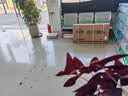 永久（FOREVER）儿童自行车男女款单车可折叠脚踏车3-6岁辅助轮一体轮 14寸橙色 实拍图