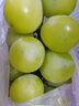 江苏阳光玫瑰葡萄国产晴王无籽香印提子当季新鲜水果中秋节礼盒装 一级果2斤【礼盒装单果10-12克】 坏损包赔 实拍图