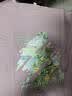 真维斯（Jeanswest）薄荷绿纯棉短袖t恤女士2026新款夏季潮流大码女装半袖宽松上衣服 实拍图