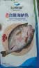 仙泉湖三去白蕉海鲈鱼1斤/条净膛刺少肉厚珠海特产500g海鲜中秋生鲜食材 实拍图
