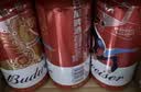 百威【哈宝同款】世界杯礼盒版啤酒【40周年限定】500ml*12国庆出行 实拍图